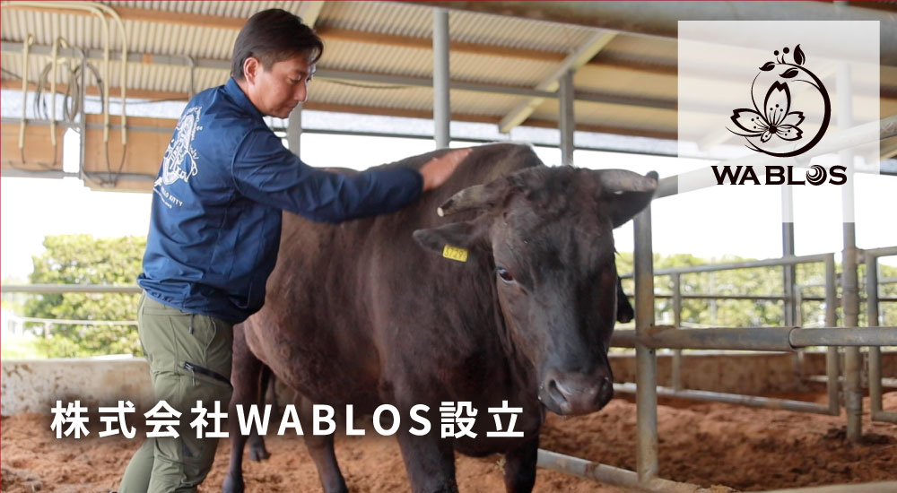 株式会社WABLOS設立