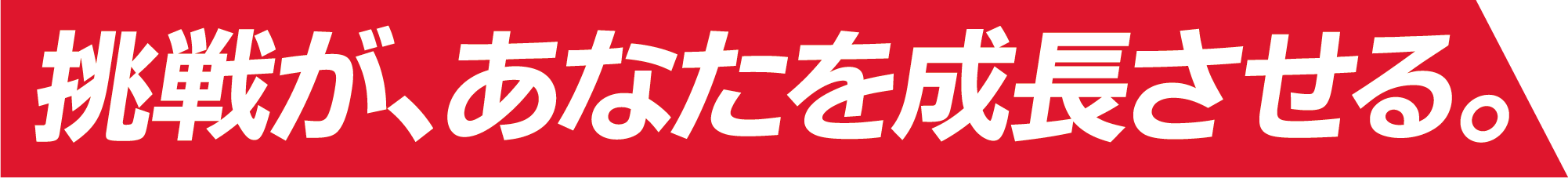 挑戦が、あなたを成長させる。