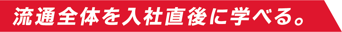 流通全体を入社直後に学べる。