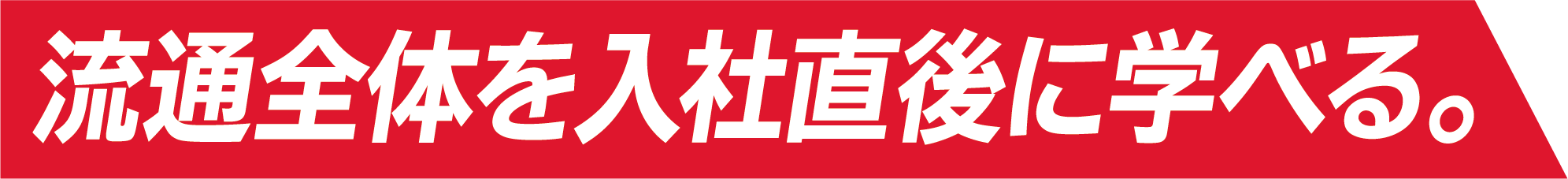 流通全体を入社直後に学べる。
